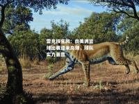 雷竞技官网：南美洲篮球比赛迎来高潮，球队实力暴露