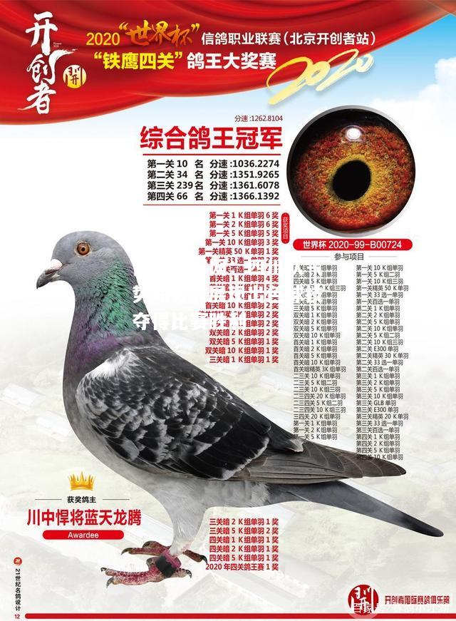 雷竞技官网：四川队气势如虹，展现出色球技夺得比赛胜利