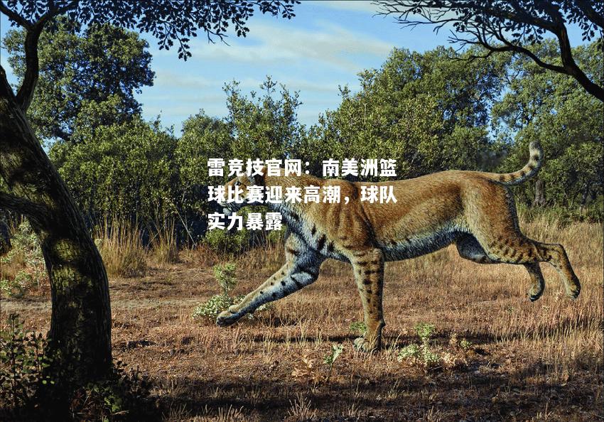 雷竞技官网：南美洲篮球比赛迎来高潮，球队实力暴露